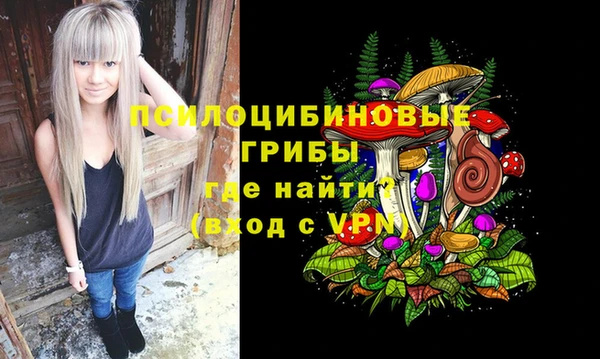 винт Карпинск