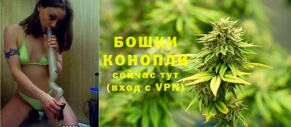 винт Карпинск